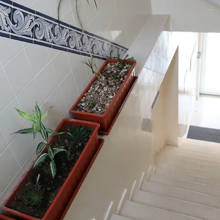 Appartement Coral House Nazaré
